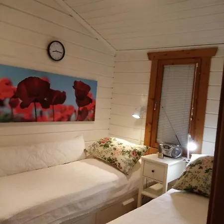 Huoneisto Paritalomökki Lomariihi 10 *